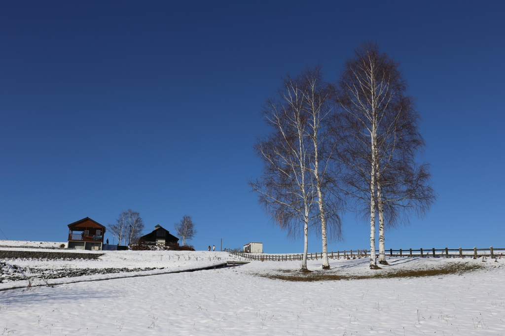 国母和宏現在仕事